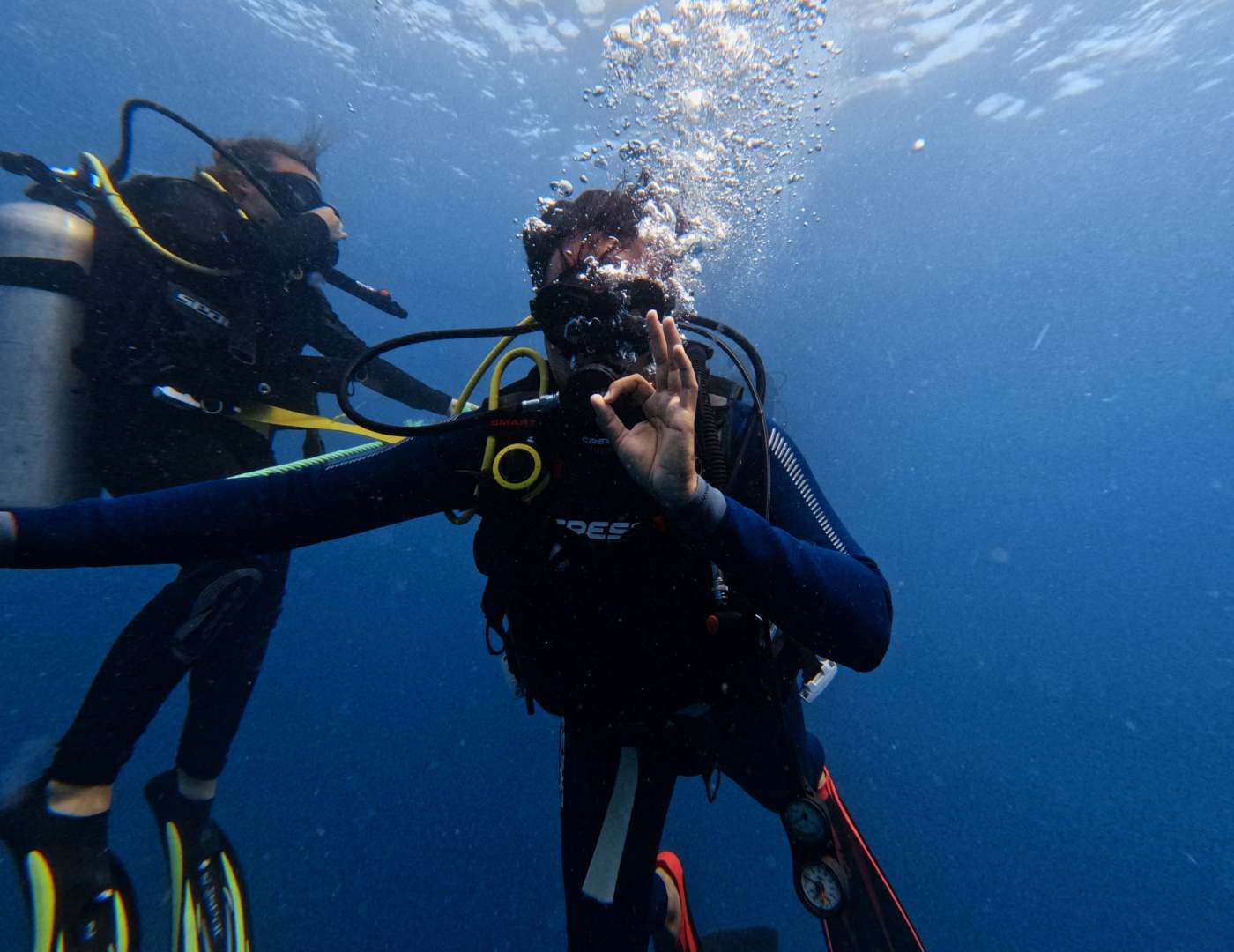 A Complete Guide to hammerhead shark diving Cocos Island Liveaboards